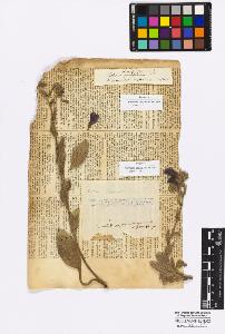 SW_BNB_s3010-16926_IMG-0000000001