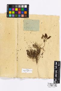 SW_BNB_s3010-16928_IMG-0000000001