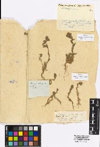 SW_BNB_s3010-16931_IMG-0000000001