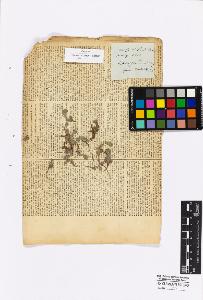 SW_BNB_s3010-16932_IMG-0000000001