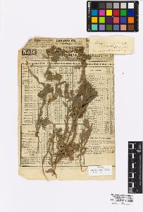 SW_BNB_s3010-16933_IMG-0000000001