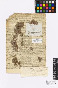 SW_BNB_s3010-16934_IMG-0000000001