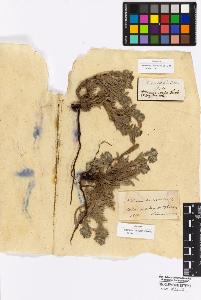 SW_BNB_s3010-16935_IMG-0000000001