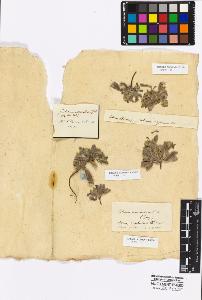 SW_BNB_s3010-16937_IMG-0000000001