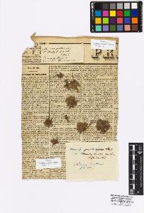 SW_BNB_s3010-16939_IMG-0000000001