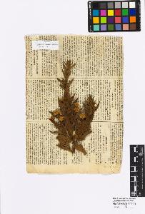 SW_BNB_s3010-16940_IMG-0000000001