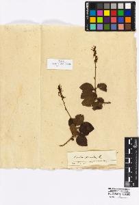 SW_BNB_s3010-16941_IMG-0000000001