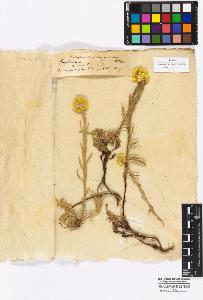 SW_BNB_s3010-16942_IMG-0000000001