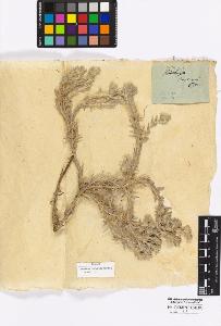 SW_BNB_s3010-16943_IMG-0000000001