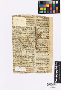 SW_BNB_s3010-16944_IMG-0000000001