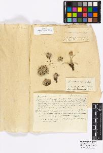 SW_BNB_s3010-16945_IMG-0000000001