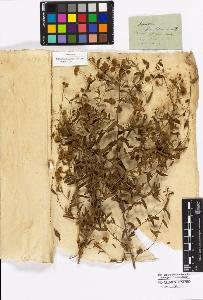 SW_BNB_s3010-16946_IMG-0000000001