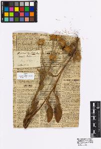 SW_BNB_s3010-16948_IMG-0000000001