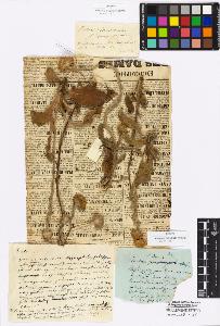 SW_BNB_s3010-16950_IMG-0000000001