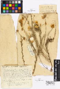 SW_BNB_s3010-16953_IMG-0000000001