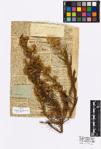 SW_BNB_s3010-16954_IMG-0000000001