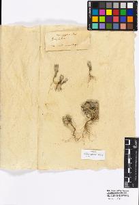 SW_BNB_s3010-16955_IMG-0000000001