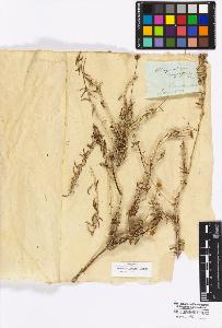 SW_BNB_s3010-16956_IMG-0000000001