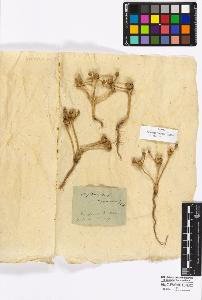 SW_BNB_s3010-16957_IMG-0000000001