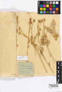 SW_BNB_s3010-16958_IMG-0000000001