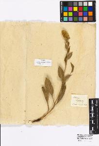 SW_BNB_s3010-16959_IMG-0000000001