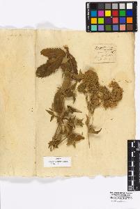 SW_BNB_s3010-16960_IMG-0000000001