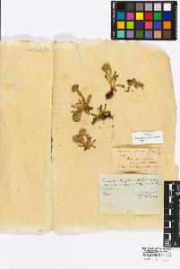 SW_BNB_s3010-16961_IMG-0000000001