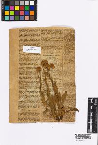 SW_BNB_s3010-16962_IMG-0000000001