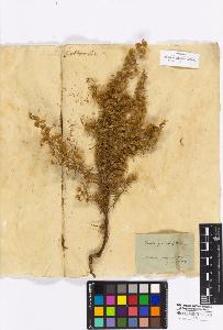 SW_BNB_s3010-16964_IMG-0000000001