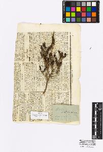 SW_BNB_s3010-16966_IMG-0000000001