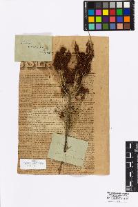 SW_BNB_s3010-16967_IMG-0000000001