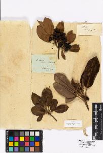 SW_BNB_s3010-16968_IMG-0000000001