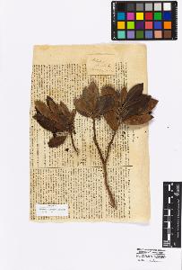 SW_BNB_s3010-16969_IMG-0000000001