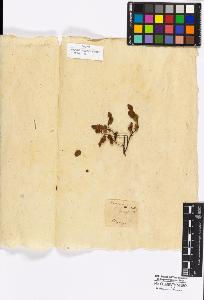 SW_BNB_s3010-16970_IMG-0000000001