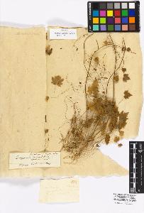 SW_BNB_s3010-16971_IMG-0000000001