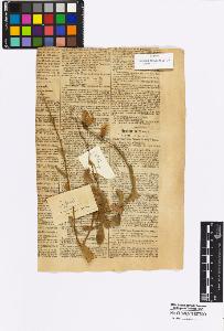 SW_BNB_s3010-16972_IMG-0000000001