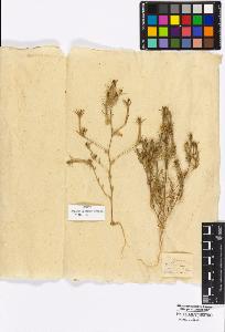 SW_BNB_s3010-16973_IMG-0000000001