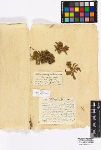 SW_BNB_s3010-16974_IMG-0000000001