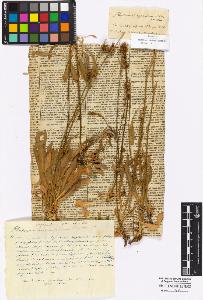 SW_BNB_s3010-16975_IMG-0000000001