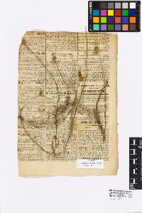 SW_BNB_s3010-16976_IMG-0000000001