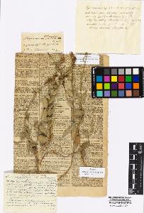 SW_BNB_s3010-16977_IMG-0000000001