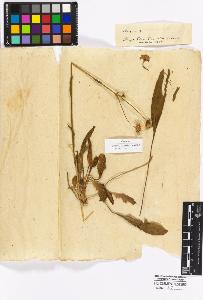 SW_BNB_s3010-16979_IMG-0000000001