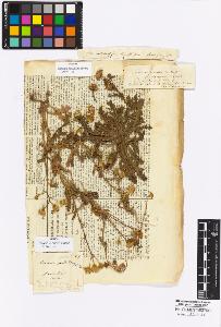 SW_BNB_s3010-16981_IMG-0000000001