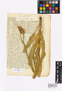 SW_BNB_s3010-16982_IMG-0000000001