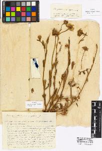 SW_BNB_s3010-16983_IMG-0000000001