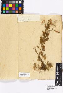 SW_BNB_s3010-16985_IMG-0000000001