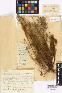 SW_BNB_s3010-16986_IMG-0000000001