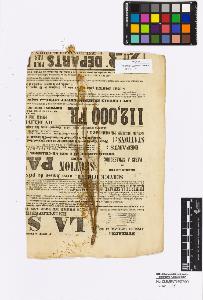 SW_BNB_s3010-16987_IMG-0000000001