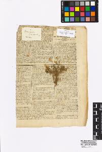 SW_BNB_s3010-16988_IMG-0000000001