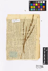 SW_BNB_s3010-16989_IMG-0000000001